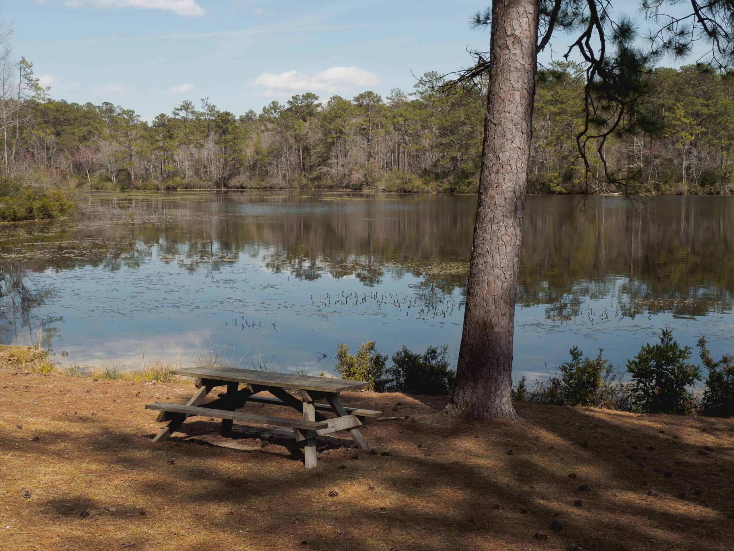 Fishing pier at Carvers Creek State Park near Spring Lake NC and Fort Bragg